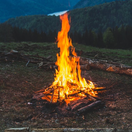 Image of bush burning